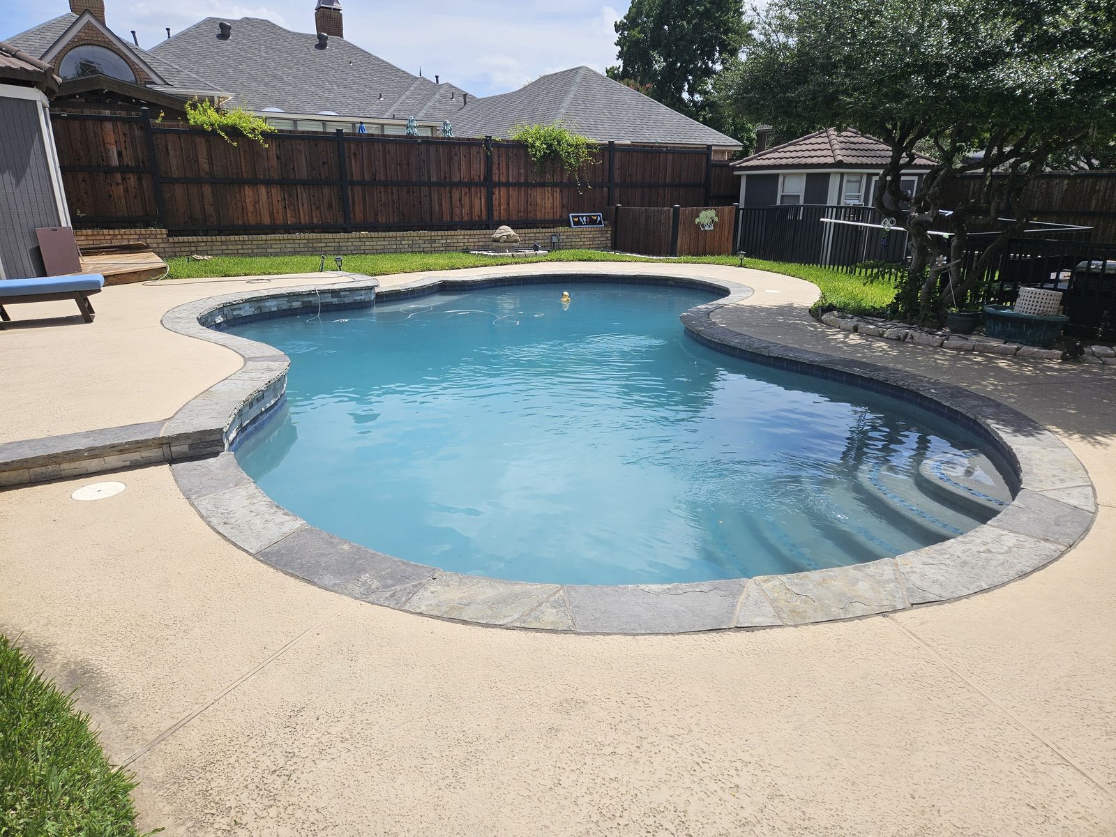 Freeform pool with natural stone coping and clear water